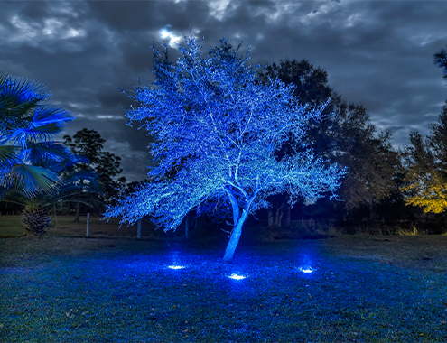 about-colorscaping-image