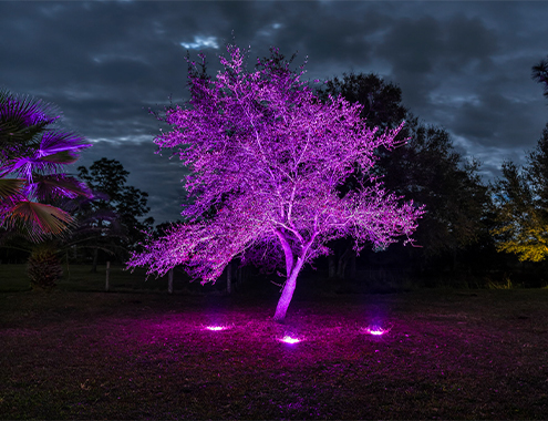 about-colorscaping-image