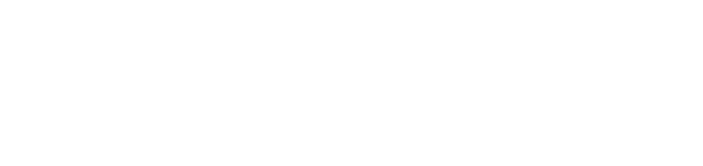 WAC GROUP LOGO