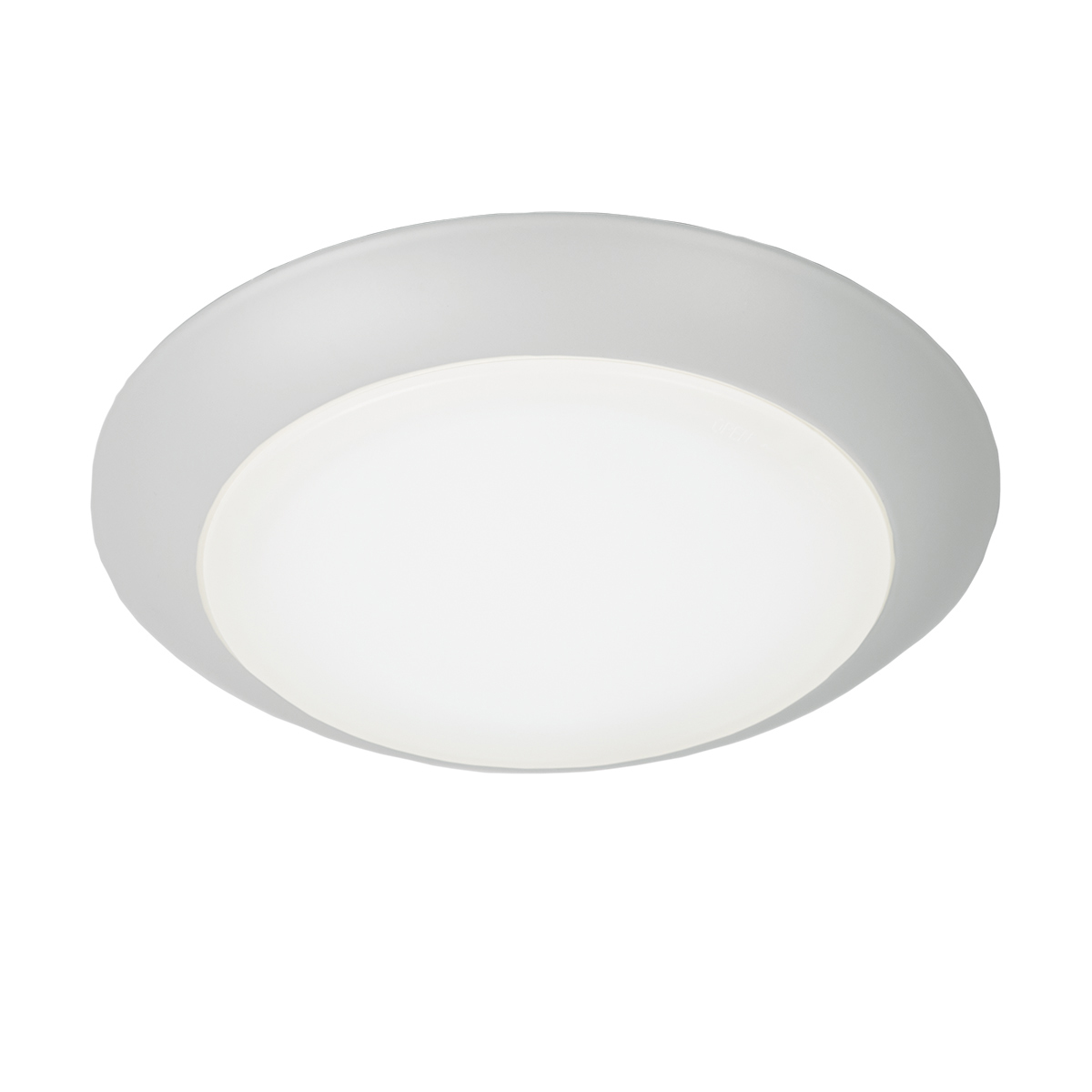  disc